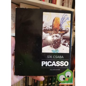 Sik Csaba: Picasso