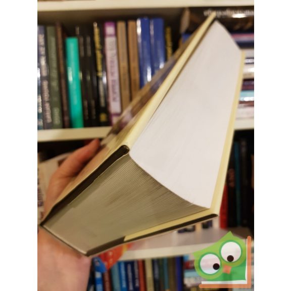 Sólyom Ildikó: Összetört - szétszakadt - elillant... - A Sólyom tábornok-per utóélete