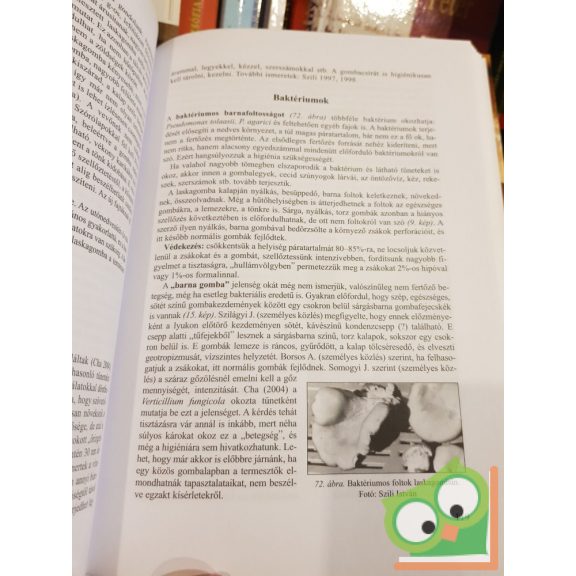 Szili István: Gombatermesztők könyve