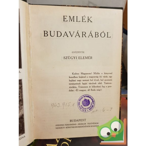 Szügyi Elemér: Emlék Budavárból