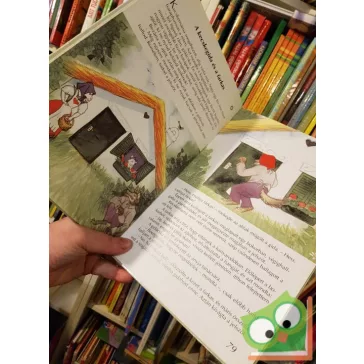 Timkóné Sebestyén: Izabella Tarka ​lepke, kis mese