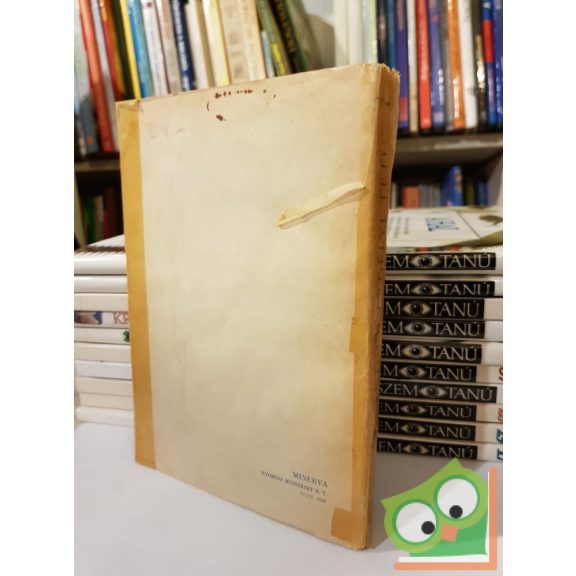 Tavaszy Sándor: Erdélyi tetők