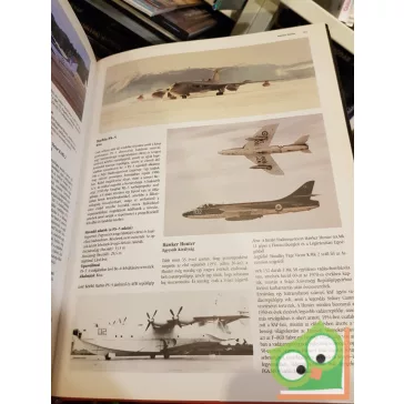 Michael Taylor: A modern katonai légierő enciklopédiája