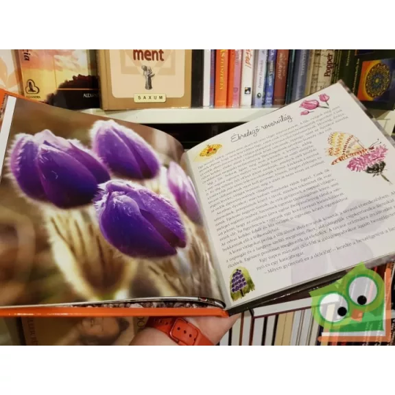 Telegdi Ágnes:  Ó, azok a csodálatos állatok - Ébredező természet