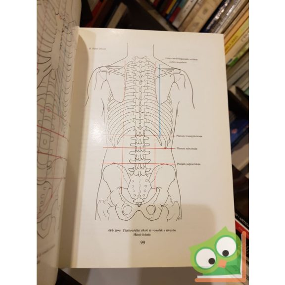 Tömböl Teréz (szerk): Tájanatómia