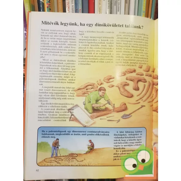 Tóth Dóra: Az ősvilág története gyerekeknek