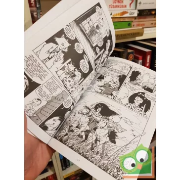 Stan Sakai: Usagi Yojimbo 1. - A rónin