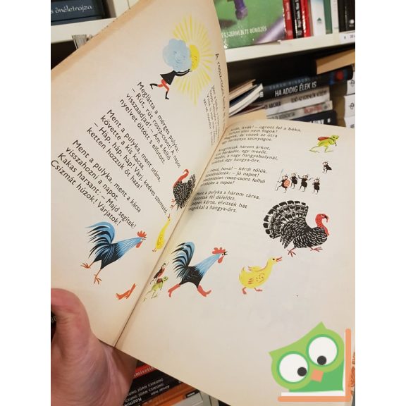 Varga Katalin: Gőgös Gúnár Gedeon