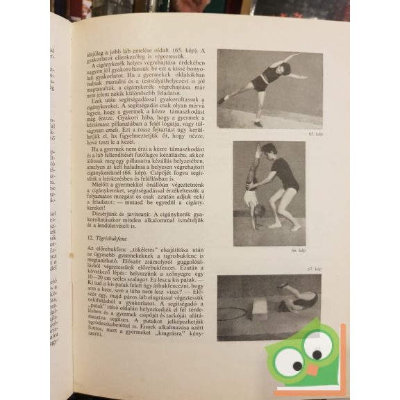 Várkői Ferenc: Kisgyermekek tornája