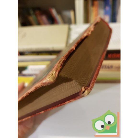 Verne Gyula: Észak dél ellen