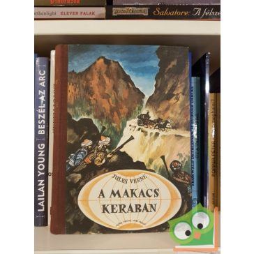 Verne Gyula: A makacs Keraban