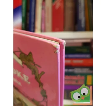 Hamupipőke és más mesék (A világ legszebb meséi)