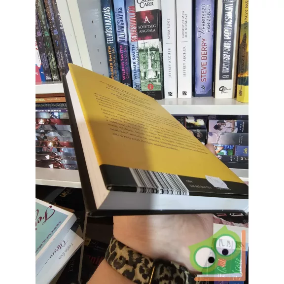 Jordan Belfort: A Wall Street farkasának értékesítési módszere (ritka)