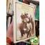 Jerry Haig: Wrestling With Rhinos: The Adventures of a Glasgow Vet in Kenya