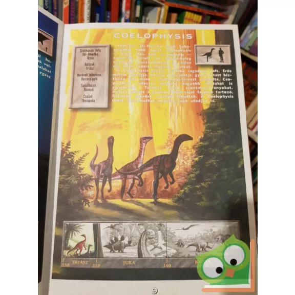 Zubály Sándor: Képes Dinoszaurusz Kalauz