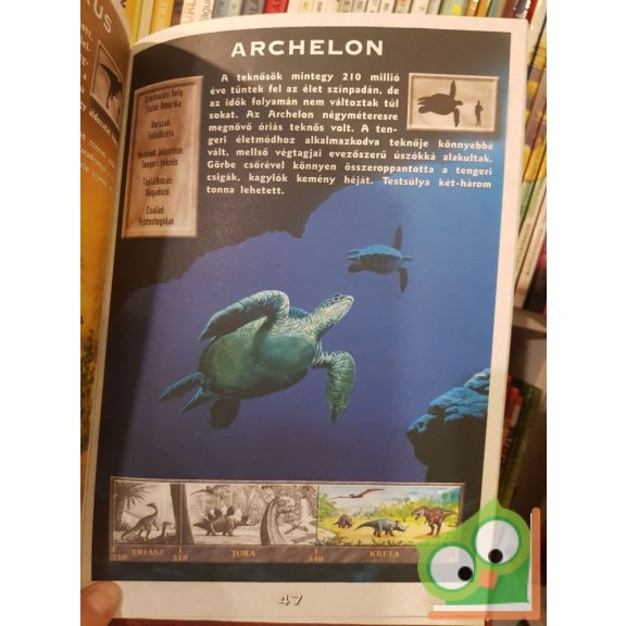 Zubály Sándor: Képes Dinoszaurusz Kalauz