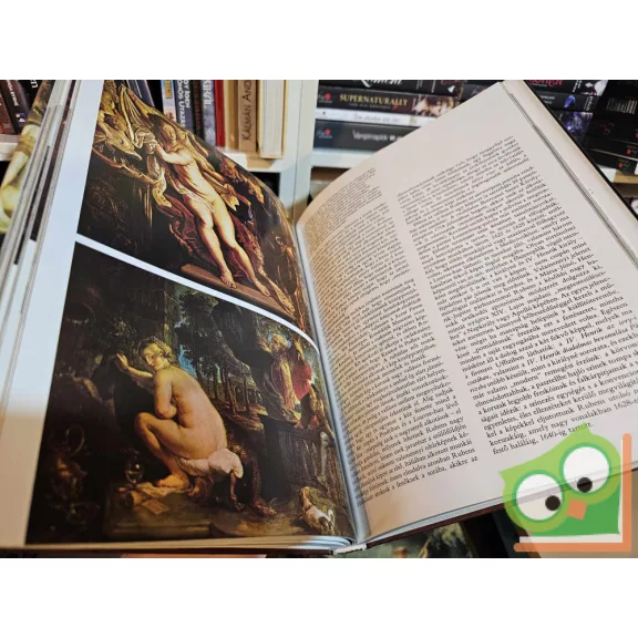 Aradi Nóra (szerk.): A barokk (A művészet története)