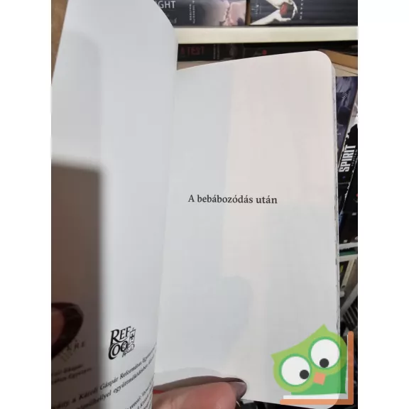 Bársony Márton, Nádasdy Ádám (szerk.): A bebábozódás után (Poket)