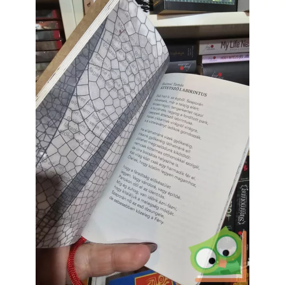 Bársony Márton, Nádasdy Ádám (szerk.): A bebábozódás után (Poket)