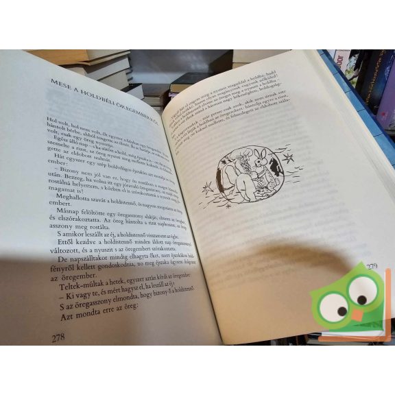 Bodrogi Tibor, Karig Sára (szerk.): A bőbeszédű teknősbéka (Népek meséi ) (nagyon ritka)