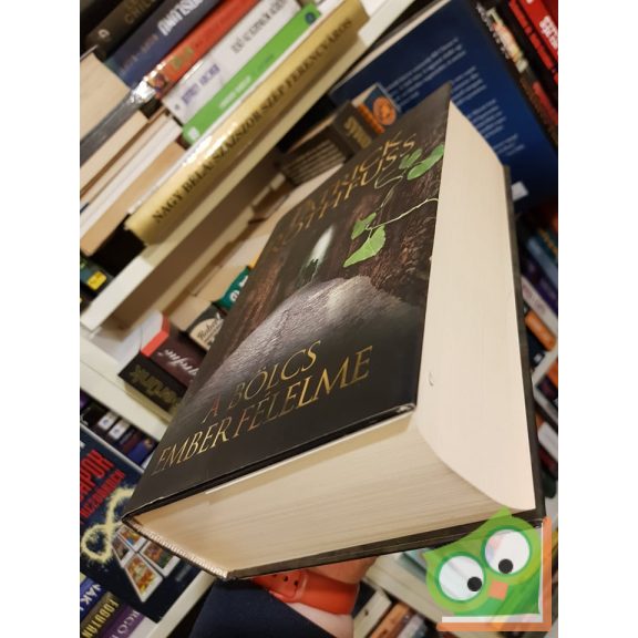 Patrick Rothfuss: A bölcs ember félelme (A királygyilkos krónikája 2.)