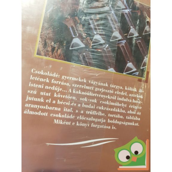 Nathalie Bailleux, Hervé Bizeul: A csokoládé (Fóliás)