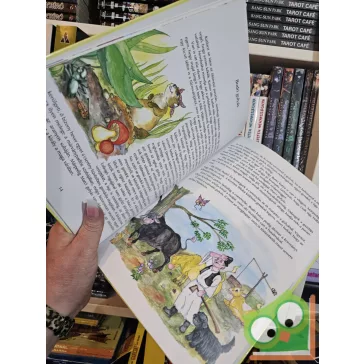 Móra Ferenc: A didergő király