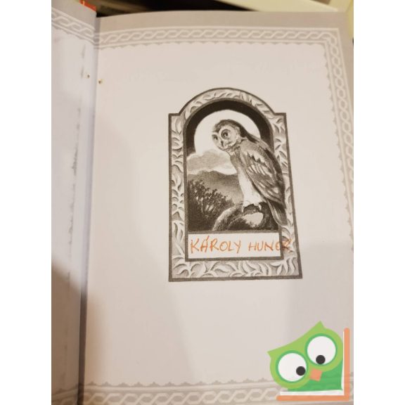 Rudyard Kipling, Lisa Church: A dzsungel könyve (Klasszikusok könnyedén) (ritka)