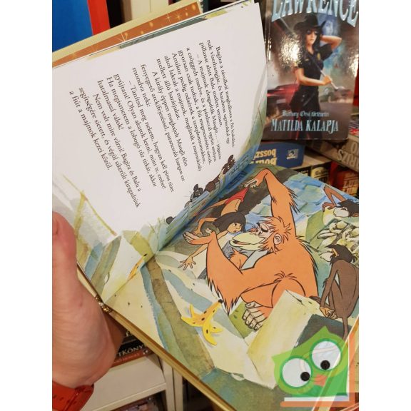 A dzsungel könyve (arany Disney) (ritka) (fóliás)