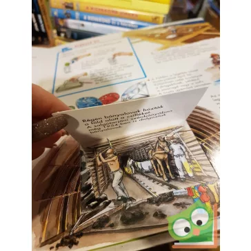 Sabine Stauber: A földünk (Mi micsoda Junior 8. kötet)