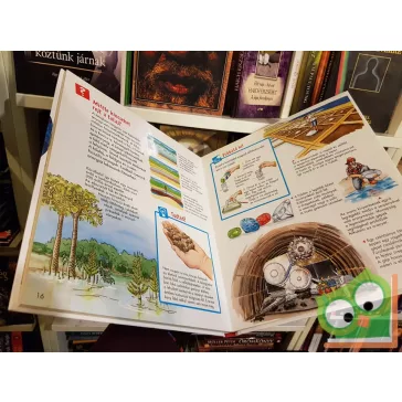 Sabine Stauber: A földünk (Mi micsoda Junior 8. kötet)