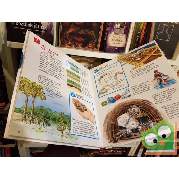 Sabine Stauber: A földünk (Mi micsoda Junior 8. kötet)