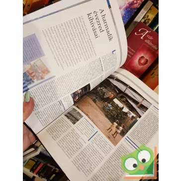   Világtörténelmi enciklopédia 16. - A  globalizálódó világ