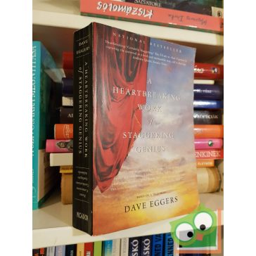   Dave Eggers: A Heartbreaking Work of Staggering Genius (2 regény)