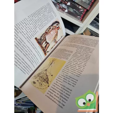 Molnár László Miklós: A híres Vadnyugat