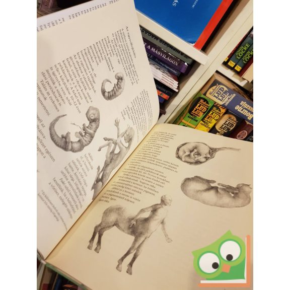 Csányi Vilmos: A kentaur természetrajza