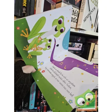 A kicsi béka nagy kívánsága ( keménylapos )