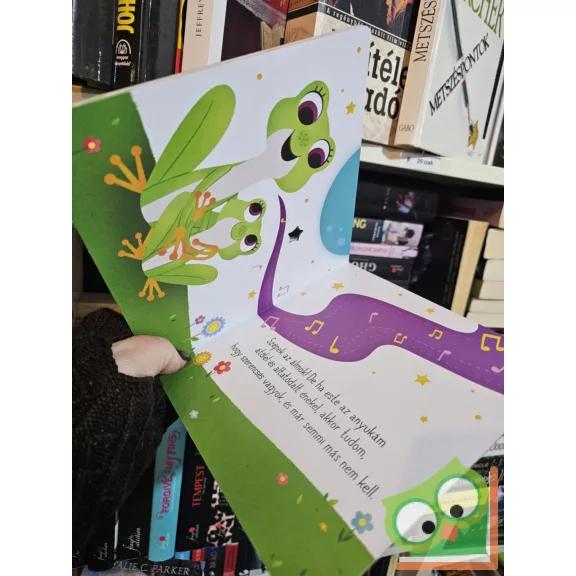 A kicsi béka nagy kívánsága ( keménylapos )