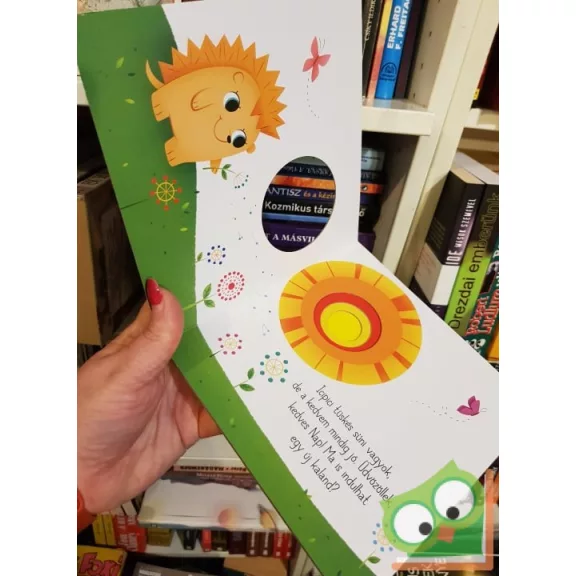 A kicsi süni nagy napja (leporelló)