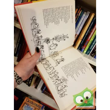 Michael Ende: A kis firkások