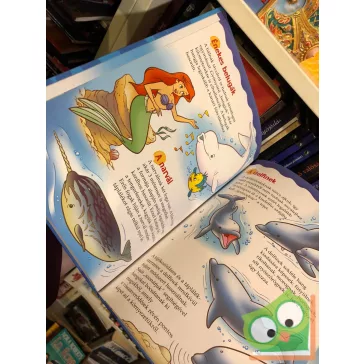   Walt Disney – A kis hableány és a tengerben élő állatok (Fedezd fel Disneyvel! sorozat)