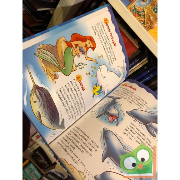 Walt Disney – A kis hableány és a tengerben élő állatok (Fedezd fel Disneyvel! sorozat)