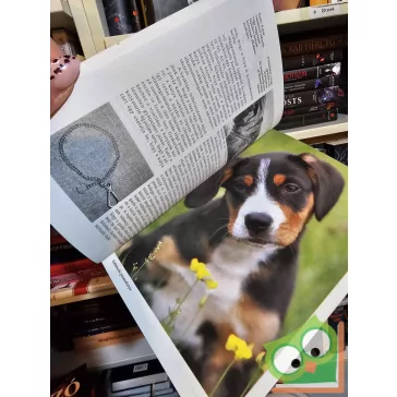 Doris Baumann: A kölyökkutya