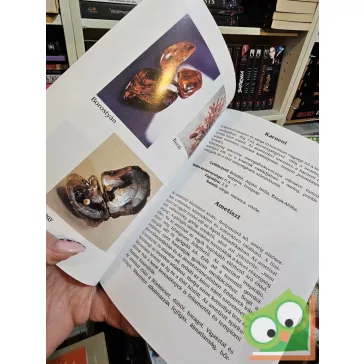 Yvonne von Wechmar: A kristályok éltető ereje