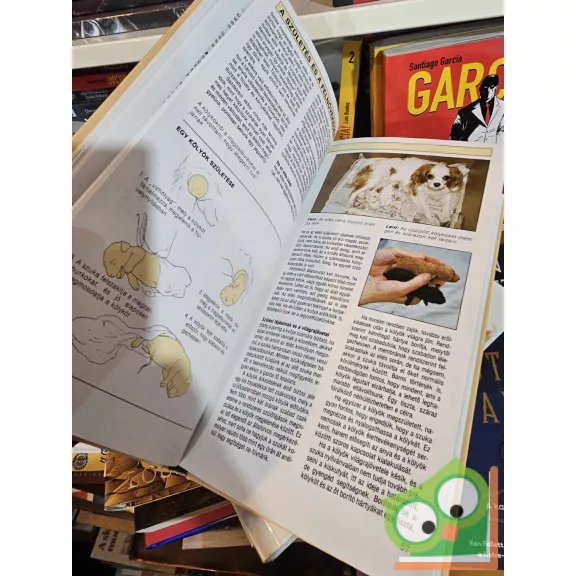 Andrew Edney - Roger Mugford: A kutya egészségkönyve