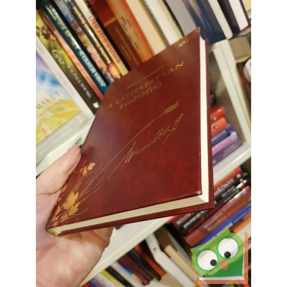 Wass Albert: A láthatatlan lobogó (díszkötésben, 41. kötet)