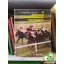Fehér Dezső  Török Imre: A magyar lóversenyzés története