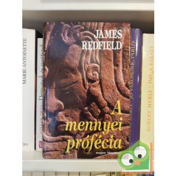 James Redfield: A mennyei prófécia (Mennyei prófécia 1.)