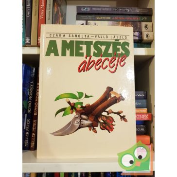 Czáka Sarolta, Valló László: A metszés ábécéje