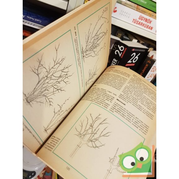 Czáka Sarolta, Valló László: A metszés ábécéje